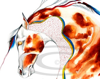 Appaloosa Native American Indian War Horse Painting Art Print "Red Cloud" ~ Jill Claire Original