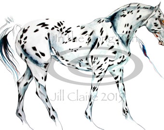 Black Leopard Appaloosa Horse Painting Art Print "Our Best Mare" ~ Jill Claire Original