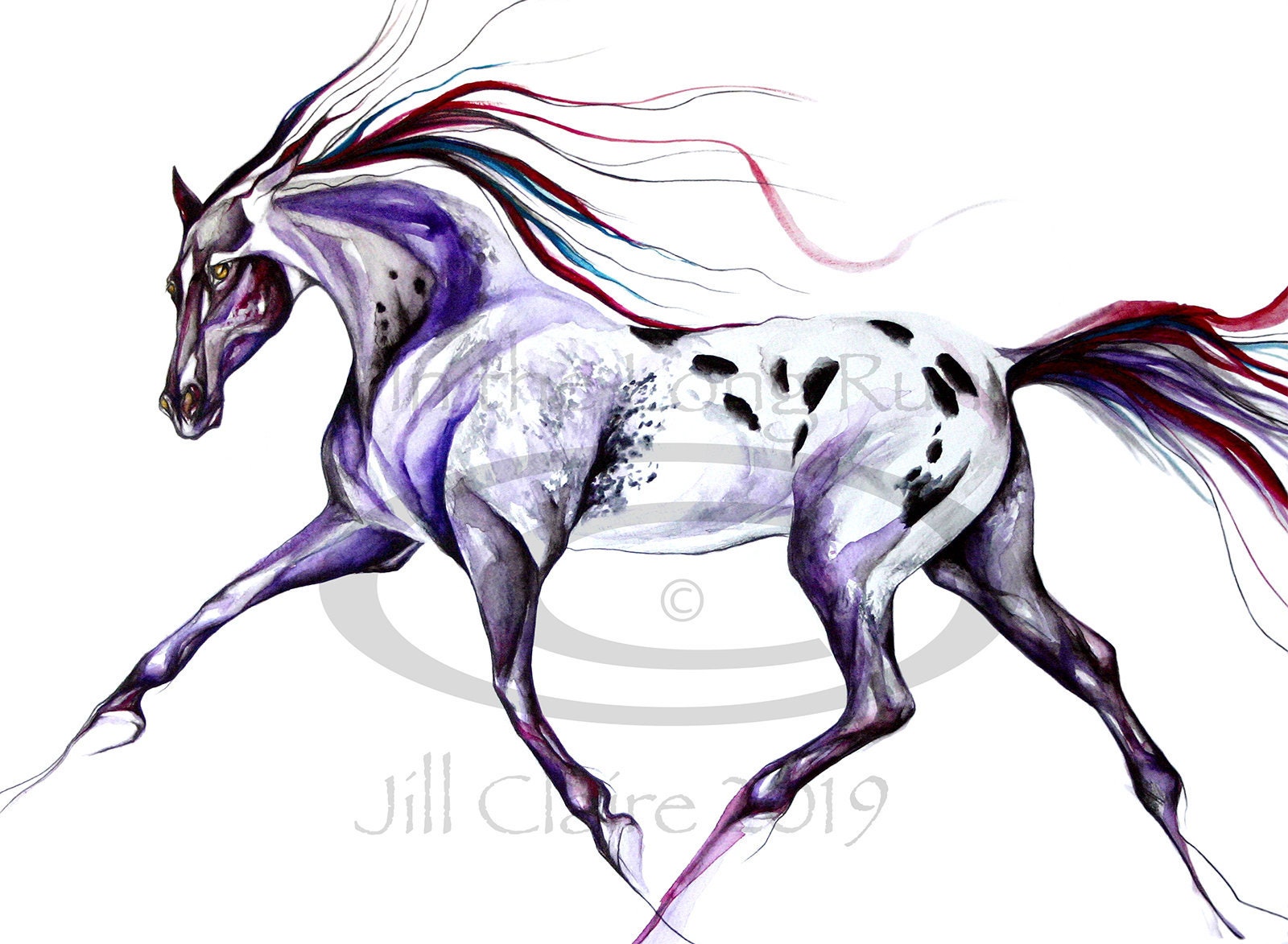 Native American Breeds: Appaloosa - Horse Illustrated