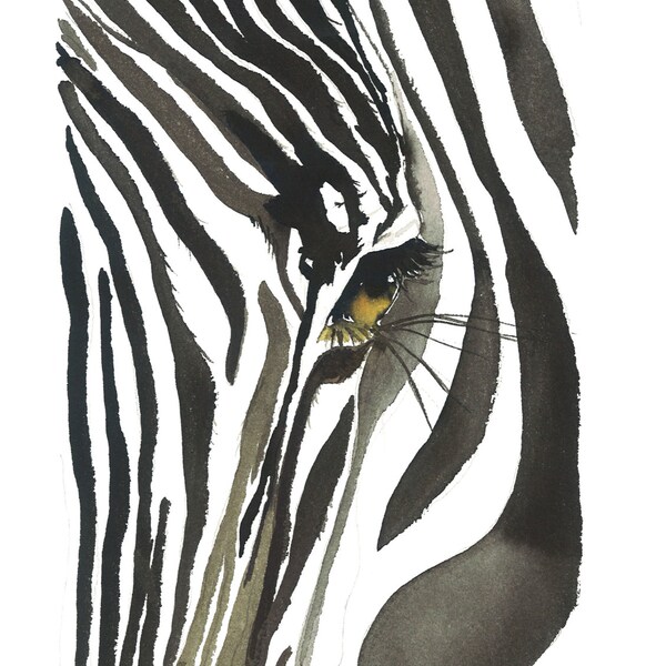 Zebra Eye print from original artwork by Jessica Durrant