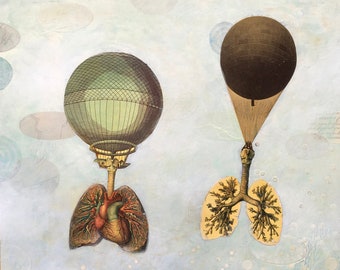 Lung Balloons