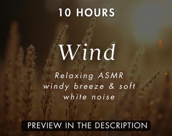 10 timmar ASMR blåsig bris med mjukt vitt brus (Mp3-nedladdning)