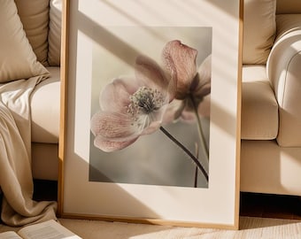 Lámina artística de flores: Suavidad en colores pastel