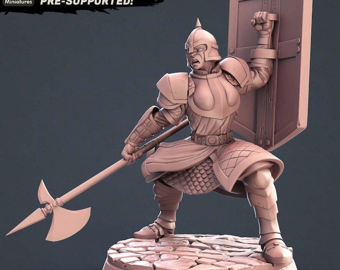 City Guard C STL Miniatures C-
