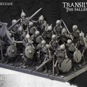 May include: A group of gray miniature skeleton warriors, armed with swords, shields, and helmets. Some figures hold banners. The figures are arranged on a gray, rectangular base. The text "TRANSILV" and "THE FALLEN" is visible.