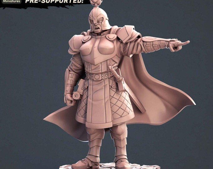City Guards Commander STL Miniatures