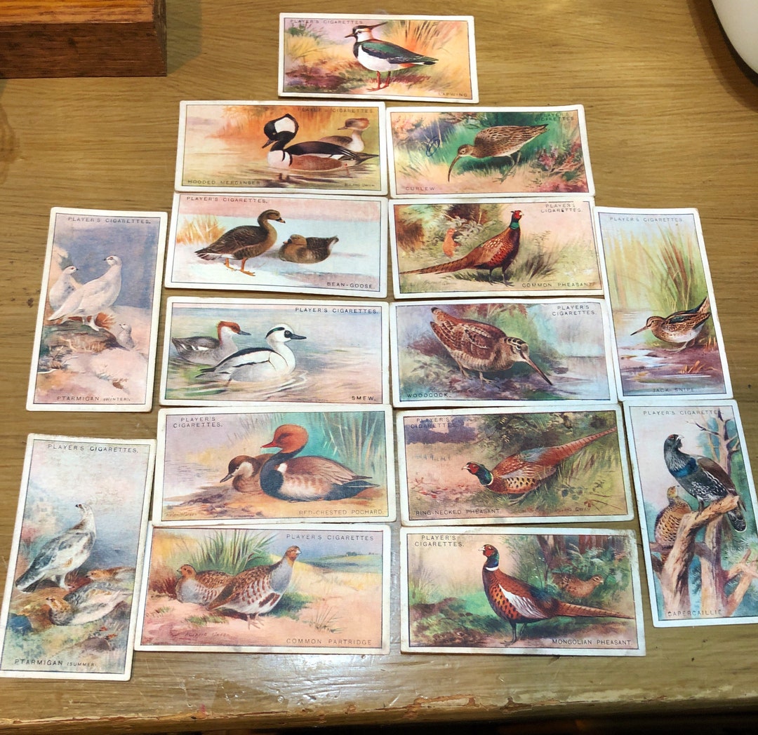 Vintage John Player Cigarette Cards, Game Birds, 1927 Partial Set