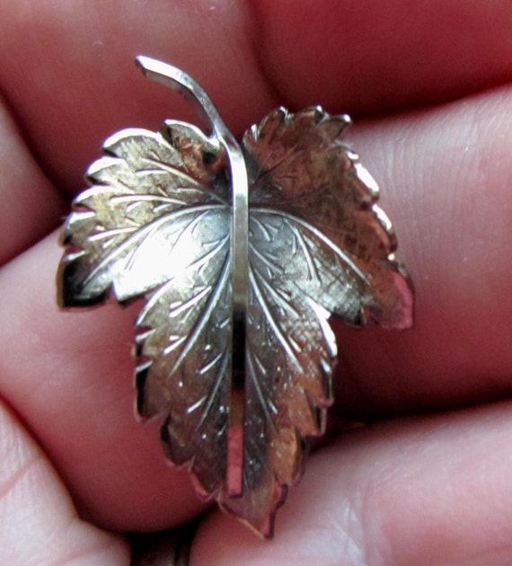 Small Antique Sterling Silver Maple Leaf Brooch m… - image 1