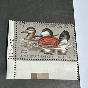 Unused 1981 Federal Duck Stamp Colorful Stamp