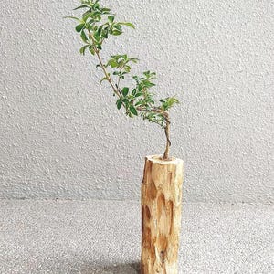 Rustic Original Wood Vase, Minimalist Decorative Log-Style Flower Holder (7.9 or 9.8 in), Wabi-Sabi Flower Display, Aesthetic Wooden Vase