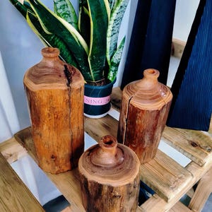 May include: Three wooden vases of different sizes and shapes, made from tree trunks, on a wooden shelf. The vases are brown and have a natural, rustic look. A green plant is in the background.