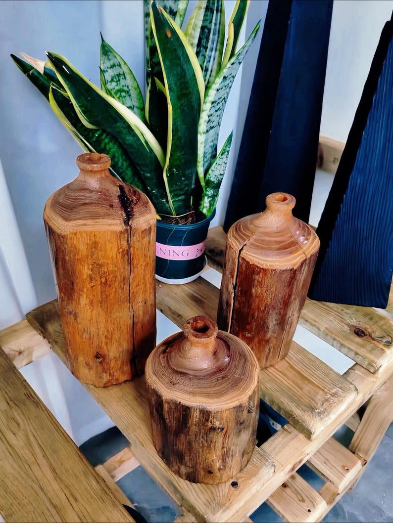 May include: Three wooden vases of different sizes and shapes, made from tree trunks, on a wooden shelf. The vases are brown and have a natural, rustic look. A green plant is in the background.