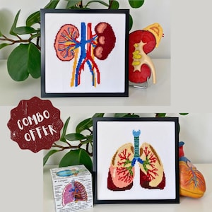 COMBO DEAL | Anatomical Kidneys and Lungs Cross Stitch Pattern: Human Anatomy Embroidery (PDF Download)