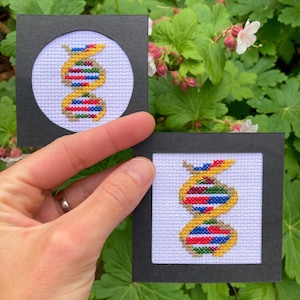 May include: Two small, framed cross-stitch artworks depicting a DNA double helix. The helix is stitched in yellow, red, blue, and green thread on a white background, within a black frame. The artwork is held against a backdrop of green foliage.