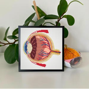 Anatomical Eye Cross Stitch Pattern: Human Anatomy Embroidery (PDF Download)