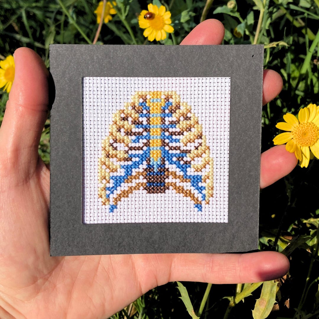 Anatomical Rib Cage Tiny Cross Stitch Pattern: Human Anatomy Embroidery ...