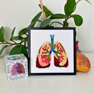 Anatomical Lungs Cross Stitch Pattern: Human Anatomy Embroidery (PDF Download)