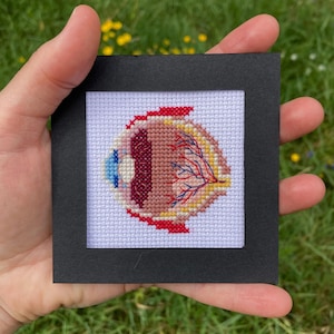 May include: A cross-stitch embroidery of an eye, framed in a black square. The eye features detailed stitching in shades of brown, red, blue, and yellow, depicting the iris, pupil, and blood vessels. The artwork is held against a background of green grass.