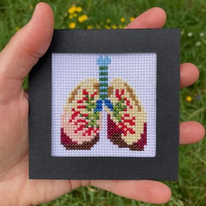 Op de afbeelding: Een ingelijste kruissteek met een afbeelding van longen. De longen zijn beige met rode en groene details, en de luchtpijp is blauw en groen. Het kunstwerk staat tegen een witte achtergrond en is zwart omlijst.