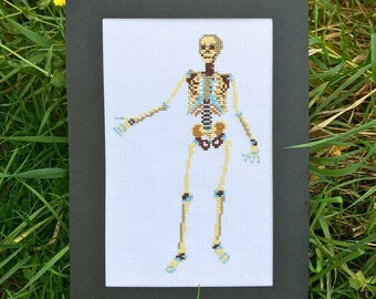 Anatomical Skeleton Cross Stitch Pattern: Human Anatomy Embroidery (PDF Download)