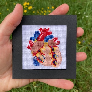 Anatomical Heart Tiny Cross Stitch Pattern – Small Human Anatomy Embroidery PDF – Medical Design – Instant Download