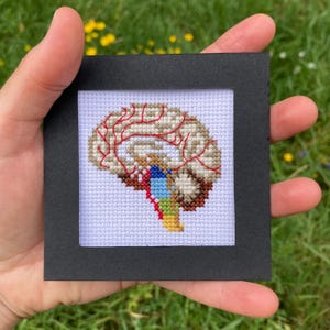 Könnte beinhalten: Ein Kreuzstich-Kunstwerk, das ein detailliertes anatomisches Gehirndiagramm darstellt. Das Gehirn ist in beige, braun, rot, blau und gelb dargestellt und in einem schwarzen Quadrat gerahmt. Das Kunstwerk wird vor grünem Gras gehalten.