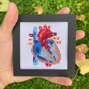 Könnte beinhalten: Ein Kreuzstich eines menschlichen Herzens in einem schwarzen Rahmen. Das Herz ist in rotem, blauem und beigem Faden auf weißem Hintergrund dargestellt. Der quadratische Rahmen wird in einer Hand gehalten, vor dem Hintergrund von grünem Gras und Herbstblättern.