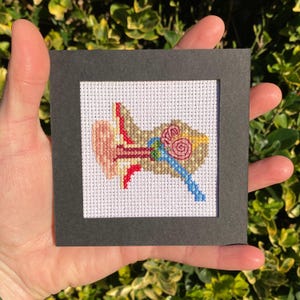 May include: A framed cross-stitch depicting the anatomy of an ear. The artwork features a detailed, colorful representation of the inner ear, with various structures rendered in shades of beige, red, blue, and yellow. The piece is set against a white background.