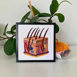 Anatomical Skin Cross Stitch Pattern – Human Anatomy Embroidery PDF – Medical Design – Instant Download
