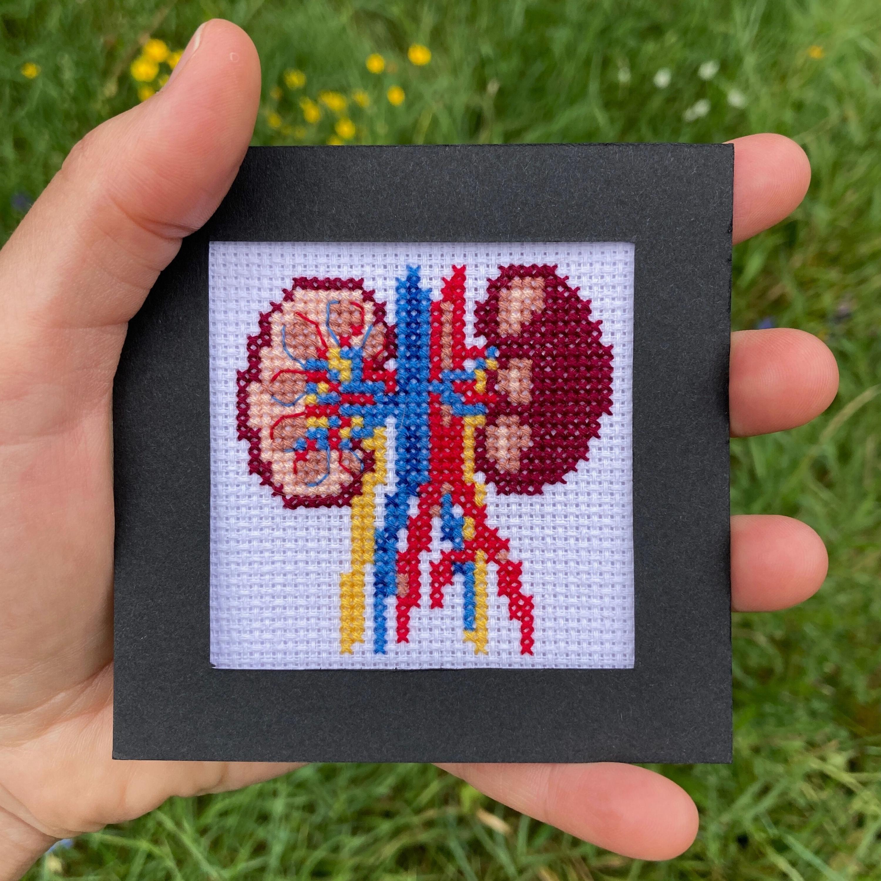 Anatomical Kidneys Tiny Cross Stitch Pattern: Human Anatomy Embroidery ...