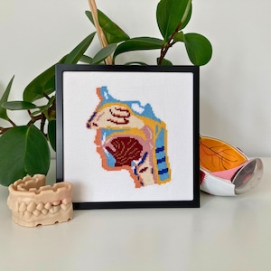 May include: A framed cross-stitch depicting a detailed anatomical view of the human nasal and throat passages. The artwork features a colorful design with shades of blue, yellow, and red. A dental model and an eye model are also visible.