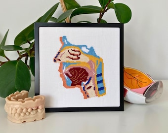 Patrón de punto de cruz anatómico de nariz, boca y garganta: Bordado de anatomía humana (Descargar PDF)