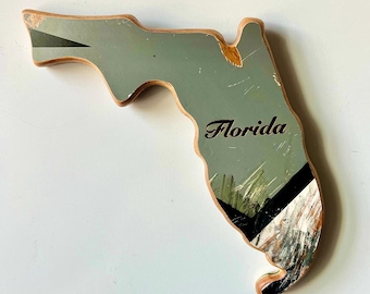 Magnet made from a skateboard