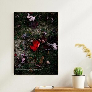 May include: A framed print featuring a vibrant red leaf amidst fallen foliage on a grassy surface. The artwork showcases a close-up view of autumn leaves, with a dark, moody aesthetic. The print is displayed on a white wall, with decorative plants.