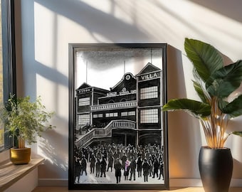 May include: A black and white illustration of a stadium with the words "Aston Villa" above the entrance. The illustration is framed in a black frame and is hanging on a white wall. There are two potted plants on either side of the frame.