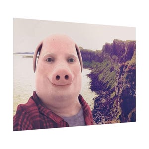 John Pork Rolled Poster | Meme