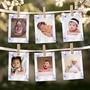 May include: Six rectangular milestone cards hanging from a ribbon with wooden clips. Each card features a photograph of an infant, purple butterfly illustrations, and text indicating the age from one to six months in a script and serif font.