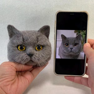 3D Wool Felt Custom Pet Head Portrait, Hand Felted Pet Memorial Frame, Personalized Cat Plush, Gift for Pet, Pet Lover Gifts, Pet Loss Gifts