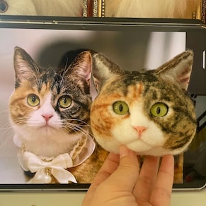 3D Wool Felt Custom Pet Portrait, Handcrafted Cat Portrait, Personalized Gift for Pet, Pet Lover Gifts, Pet Memorial Frame, Pet Loss Gifts