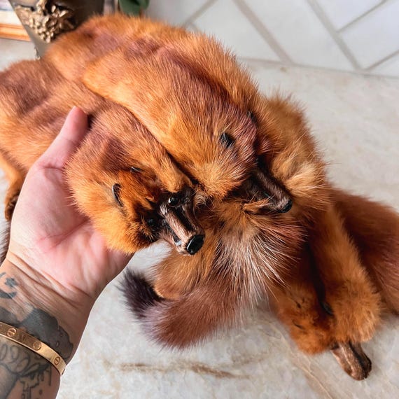 Vintage Mink Pelt Stole by Kalin’s – Real Fur Wrap with Heads, Tails & Feet – 1950s Glamour Fox Fur Collar Shawl