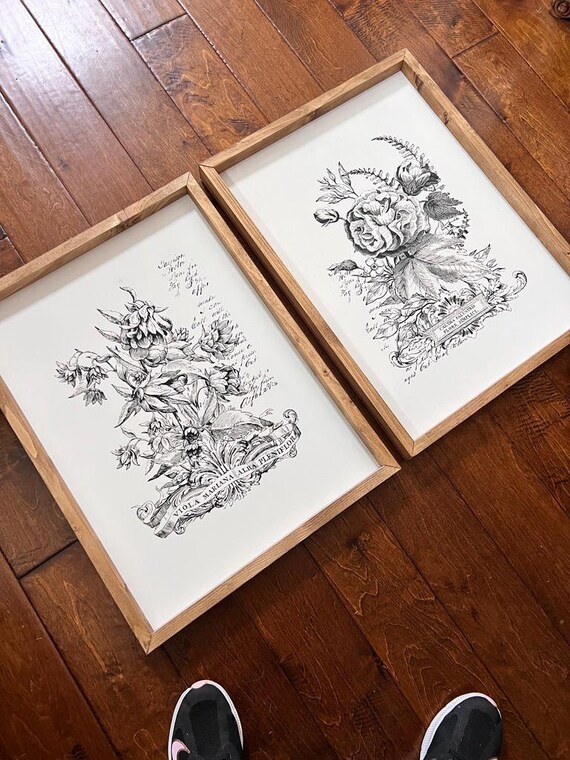 Set of 2 Framed Vintage Floral Wall Art Prints – Botanical Black & White Ink Drawings – Rustic Farmhouse Décor