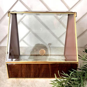 Vintage glazen en houten sieradendoos | Miniatuur Curio, Snuisterijdoosje met schuin messing frame | Opberger in stijl uit het midden van de eeuw | Tellerweergave