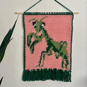 Könnte beinhalten: Ein grüner gehäkelter Gottesanbeterin-Wandbehang mit rosa Hintergrund und grünem Fransen.