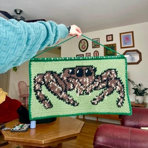 May include: Crocheted wall hanging with a spider design. The spider is brown, black, and white, on a light green background. It has a dark green border and a green hanging cord. A decorative piece for a home.