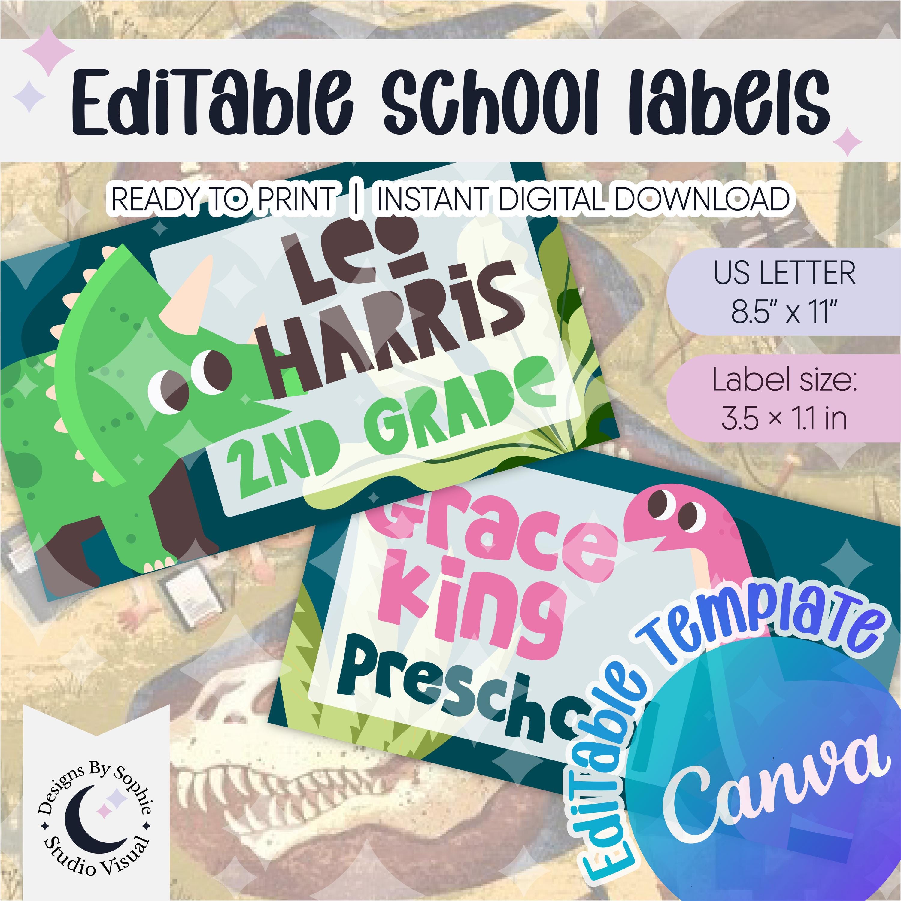 Dinosaur School Labels Printable – Cute Dino Kids Name Tags, Editable ...