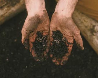 植物やテラリウム、ヤドカリ用のミミズ堆肥。