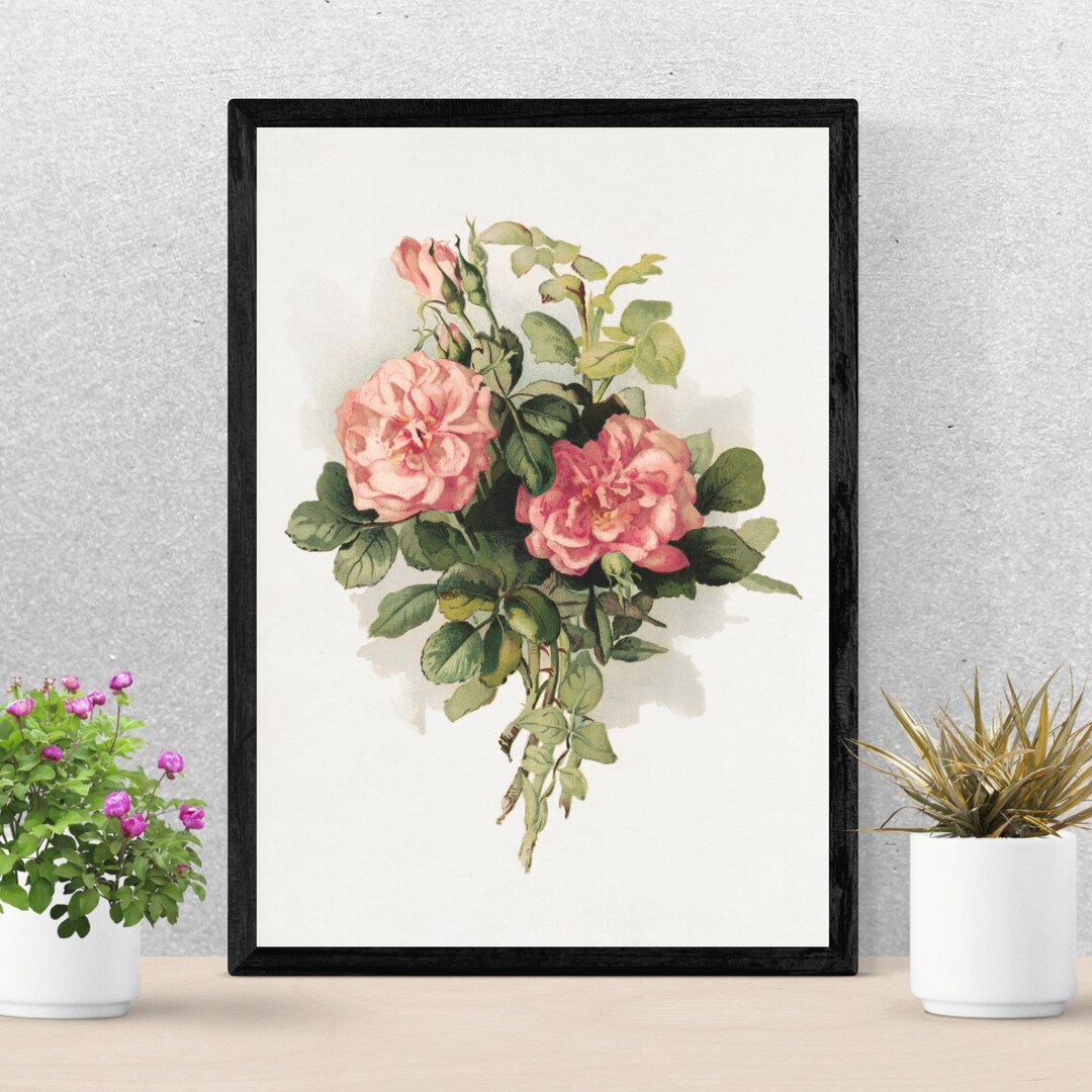 Vintage Pink Rose Botanical Print: Classic Floral Wall Art - Etsy