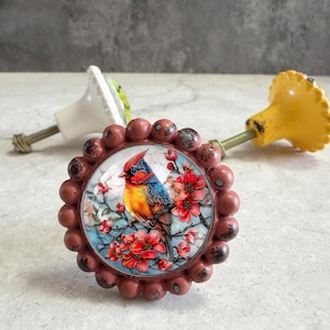 May include: A round drawer knob with a scalloped, distressed reddish-brown metal frame. The center features a colorful illustration of a bird with red, blue, and yellow feathers perched on a branch surrounded by bright red flowers and light blue sky.