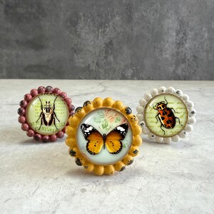 May include: Three round decorative knobs with scalloped edges. The left knob is dark red with a beetle illustration. The center knob is yellow with a butterfly and floral print. The right knob is white with a spotted beetle illustration.