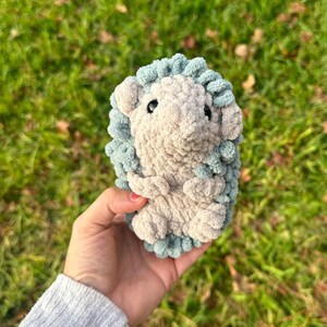 Mini Hedgehog Crochet Stuffed Animal, Handmade Crochet Plushy, Hedgehog Lover, Cute Crochet Animal, Gift for Kids